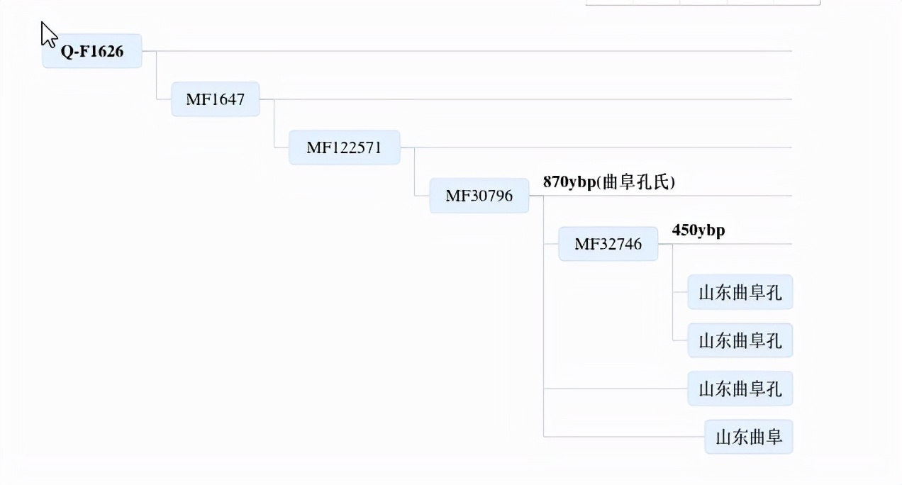 孔氏家族的C类型和Q类型
