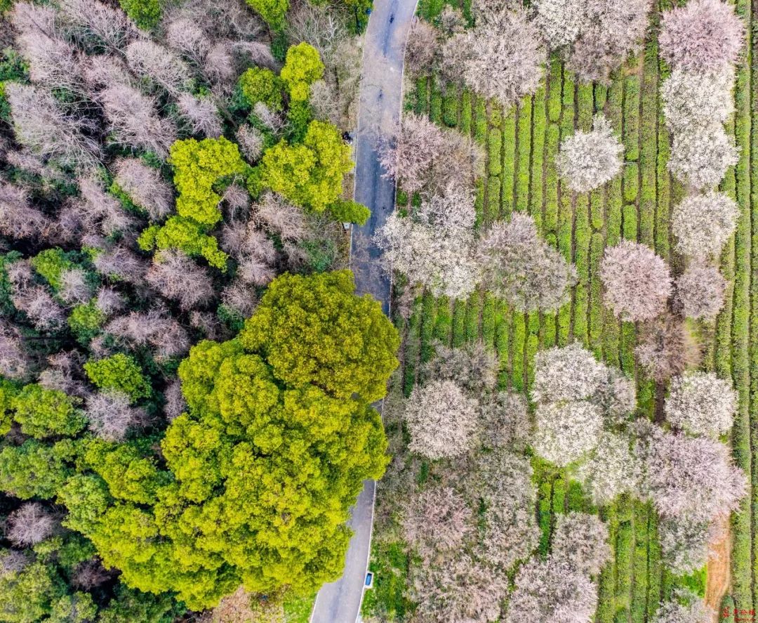 武汉冬季好玩的免费景点,武汉东湖免费景点有哪些