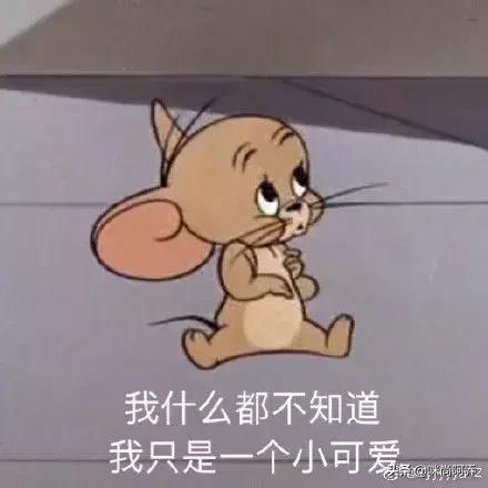 90后和00后的代沟到底有多大了,原来90后和00后的代沟都这么大了