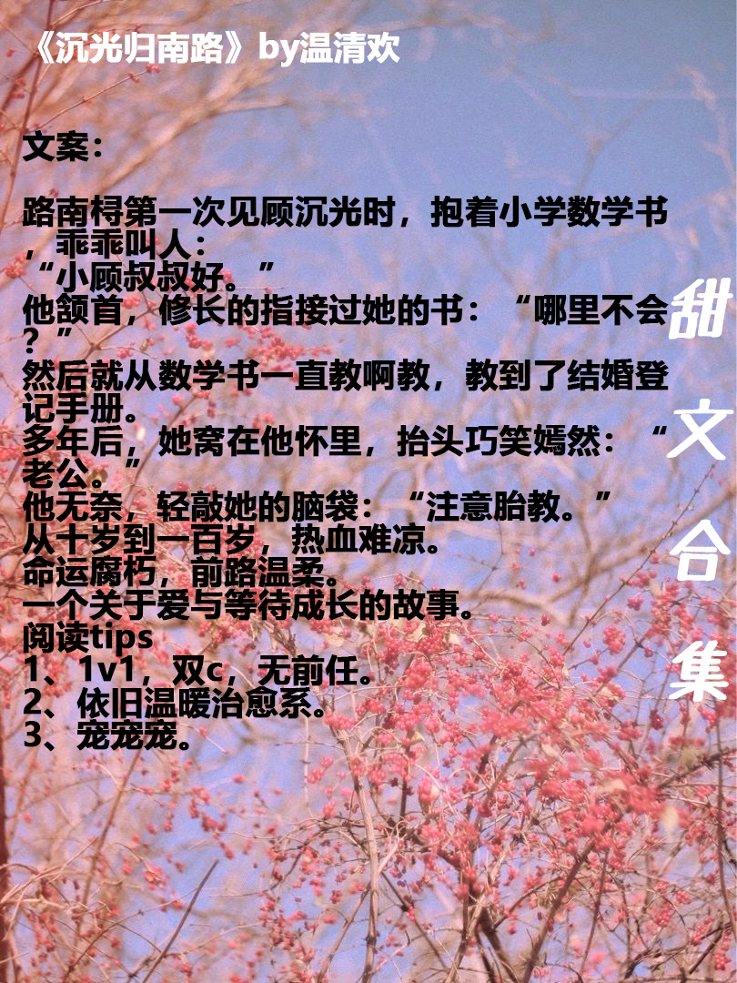 甜文合集甜宠,黑花甜文宠溺文合集