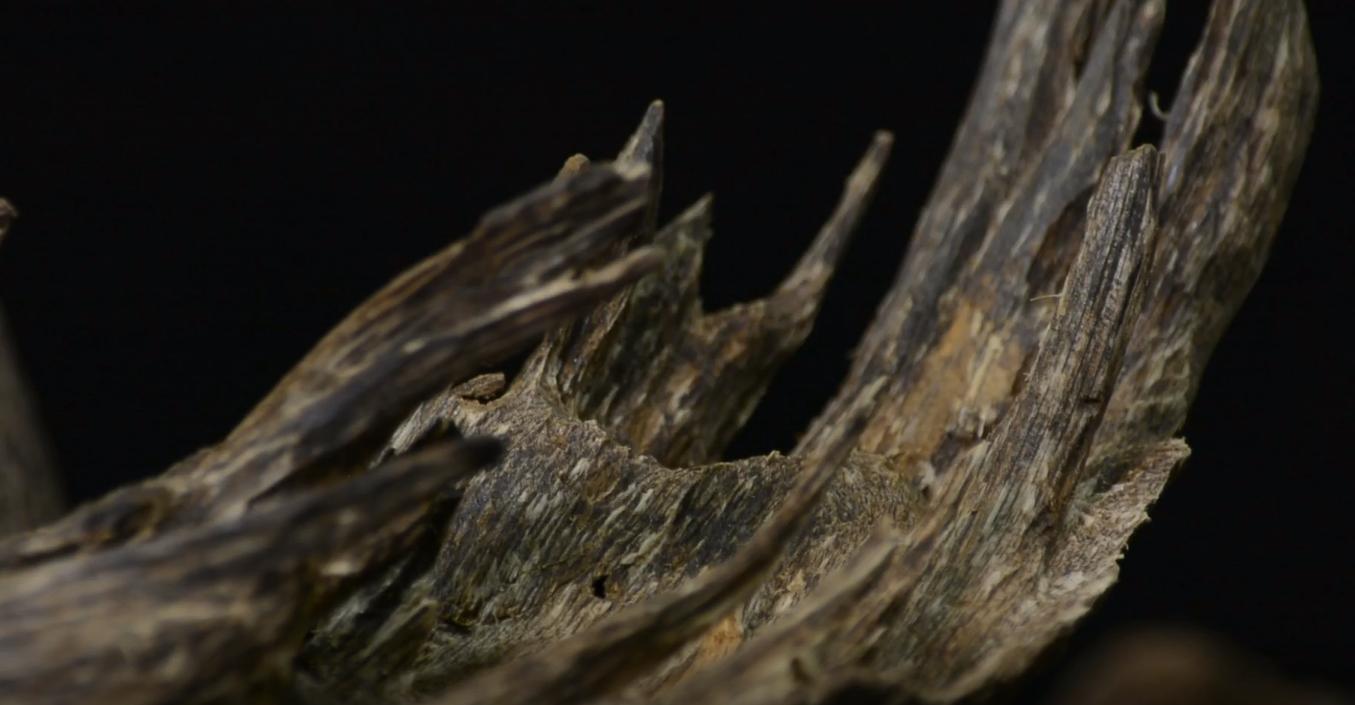 线香制作用什么原材料,如何制作线香和盘香