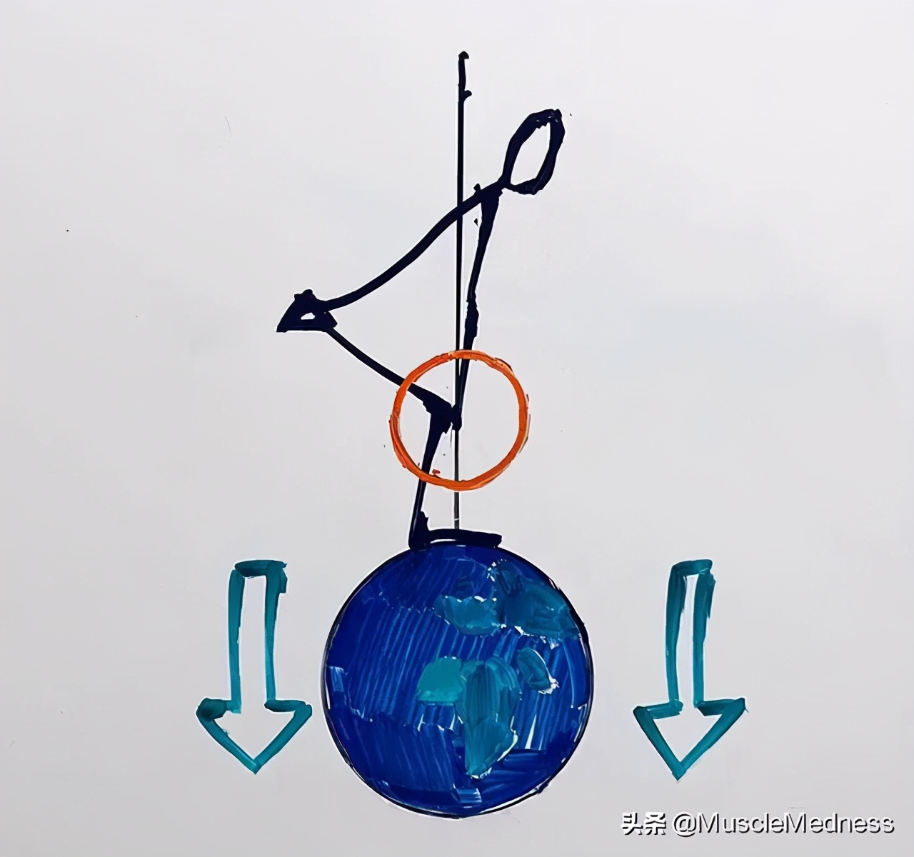 怎么改善硬拉,罗马尼亚硬拉为什么腰酸背痛