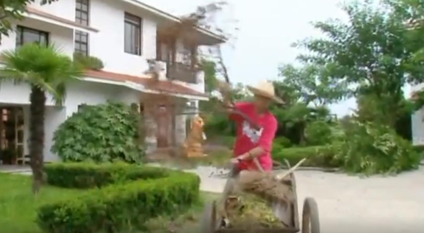 龚喜粉红女郎,龚喜掌握粉红女郎秘密