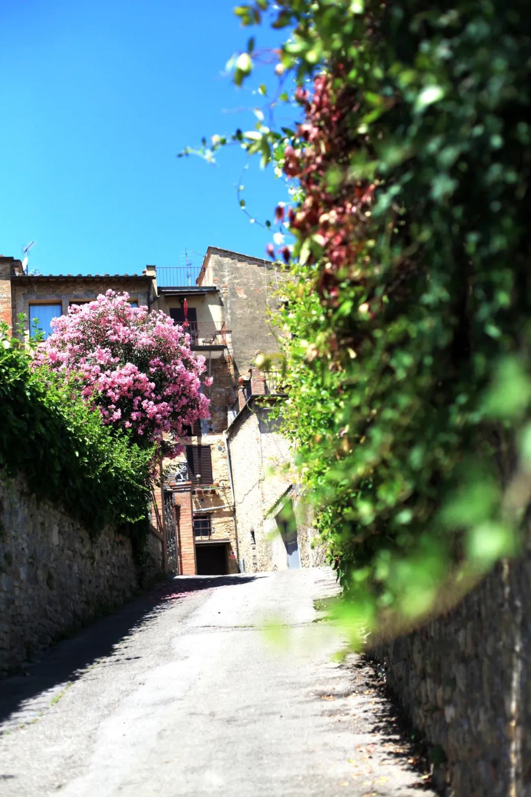 意大利最好的葡萄酒小镇,意大利马纳罗拉小镇盛产葡萄酒