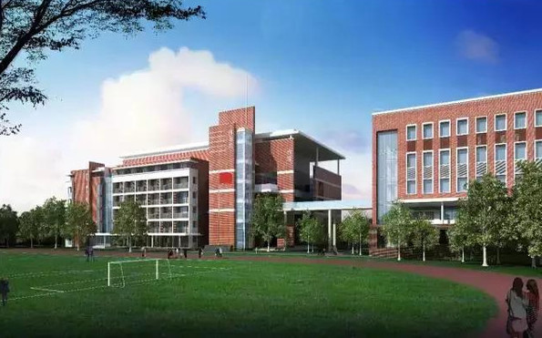 深圳龙岗十大小学排名,深圳龙岗区top10小学