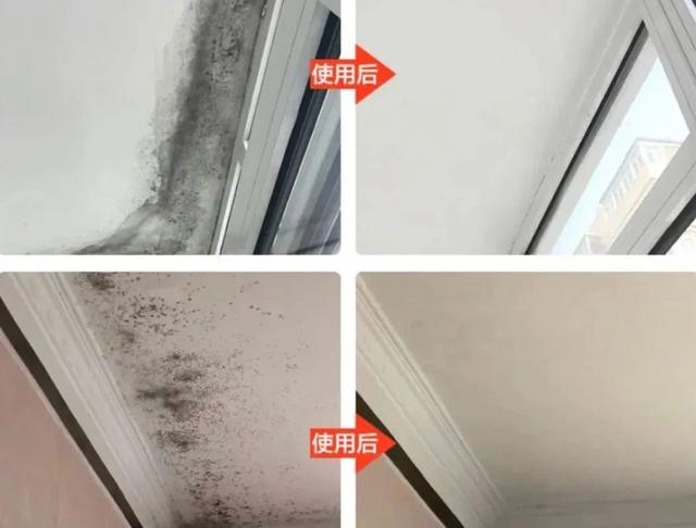墙壁发霉用什么除霉,家里墙发霉掉皮怎么办