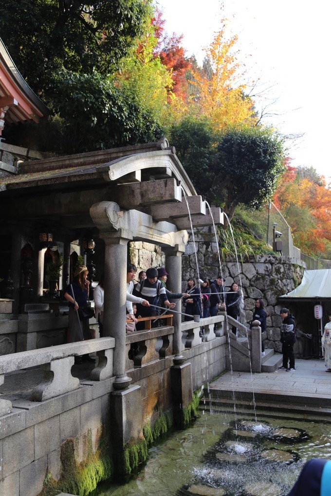 日本京都枫叶季旅游攻略,日本关西赏枫旅游攻略