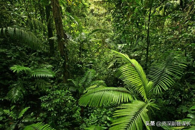 写给王焯冉家人的一封信,写给亲人的一封信原生家庭