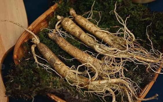 人参怎么储存干参,鲜人参收到货如何保存