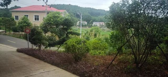 湖南陈先生30万自建农村小平房，有假山有菜园，占地1亩就是爽