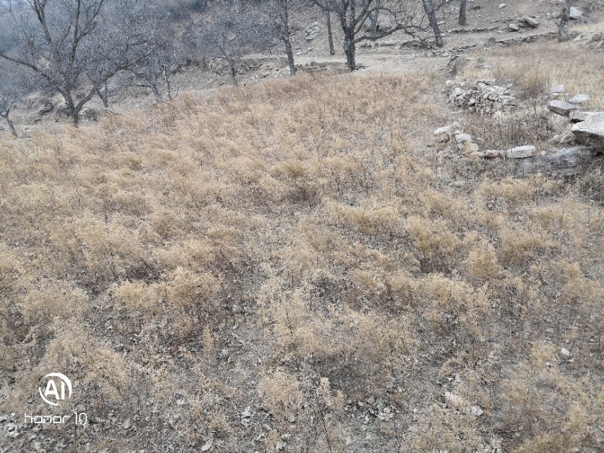 题波云山庄——南岔村