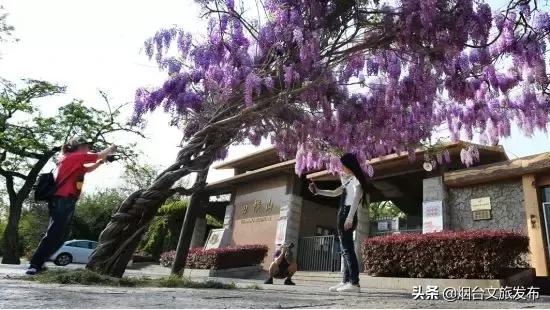 你如果不来蓬莱阁，你就不会知道……