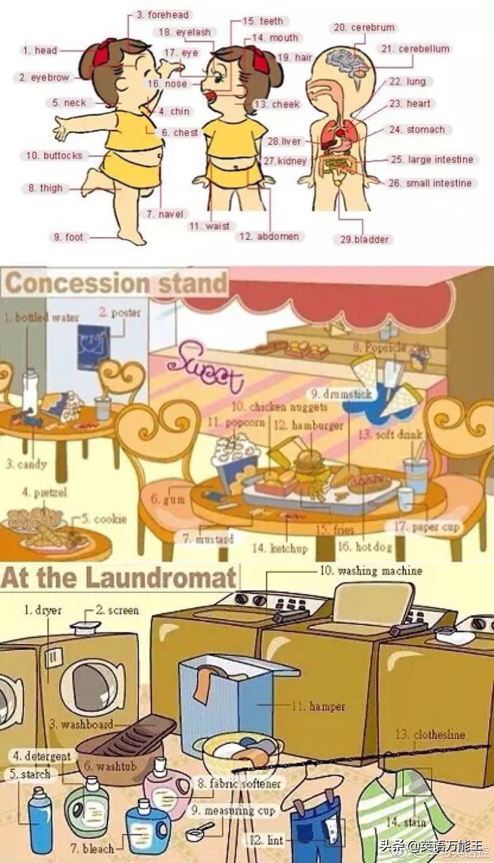 英语九宫格使用技巧,九宫格英语词汇表