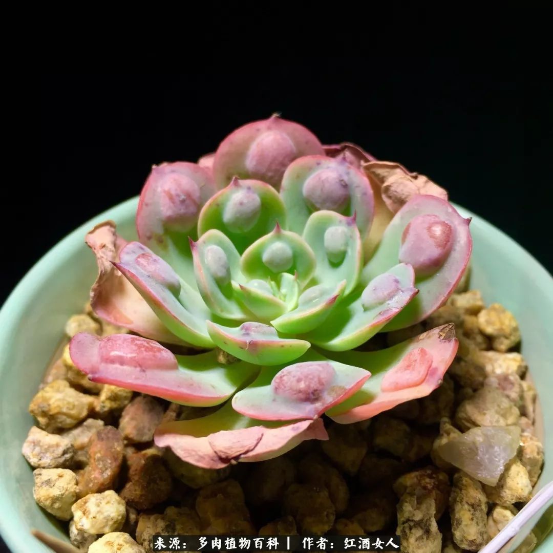 记录走过的美景留下美好的回忆,记录走过的每一段美好时光