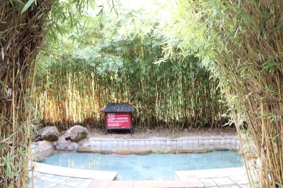 清远森波拉温泉度假村酒店好玩吗,清远森波拉温泉度假酒店附近景点