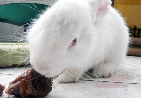 印军士兵天天吃不饱饭,新兵不爱吃米饭怎么办