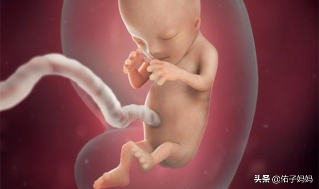 胎儿在肚子里撅嘴正常吗,胎儿在肚子里会不会吧唧嘴