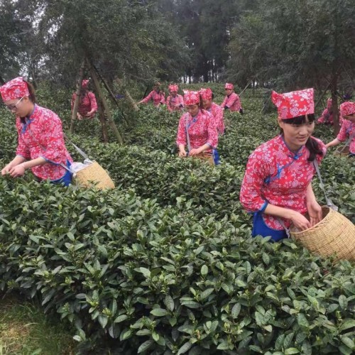 惠农网农产品电商运作模式,惠农网电商龙头