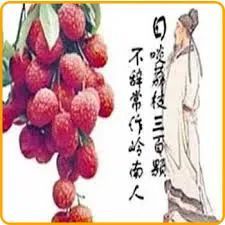 怎样吃荔枝不得荔枝病,吃荔枝会得蛀牙吗