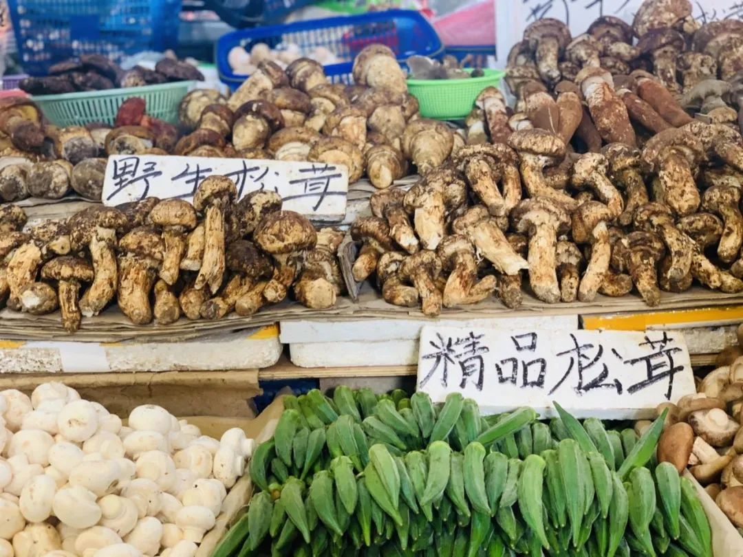 静远路便民服务中心在哪里,锦江区静远路便民服务中心