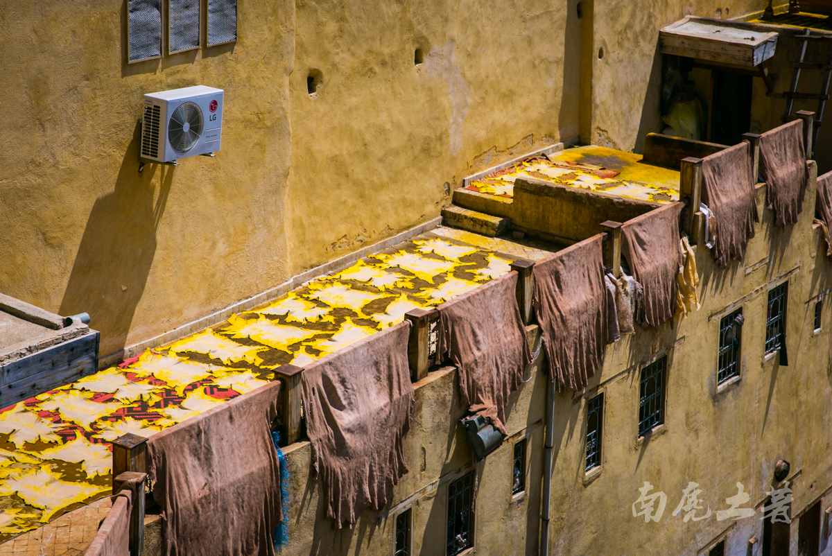 非洲这个城市这么臭，游人却每天排队参观