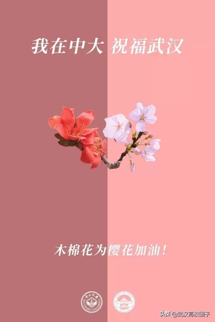 爸妈我想回家视频,爸妈我想回家了原视频