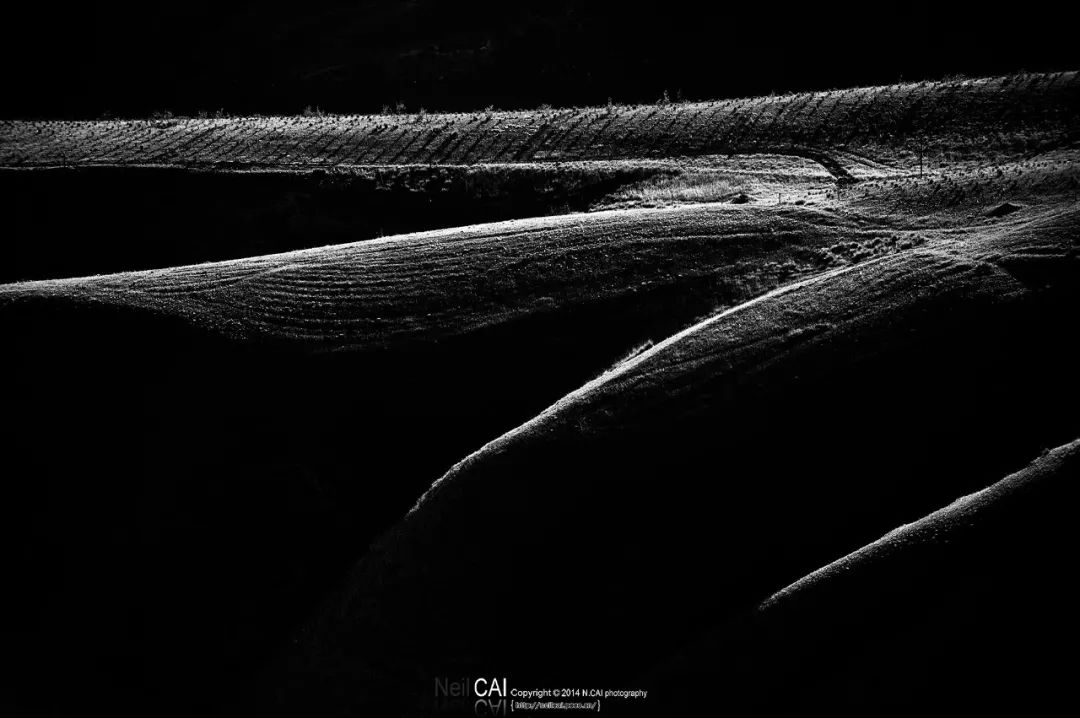 黑白摄影灰度,黑白摄影简约