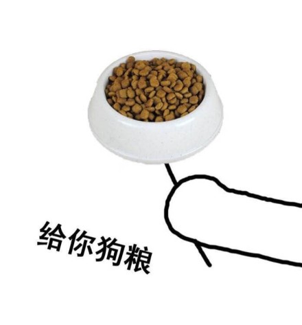 长毛犬推荐公的还是母的,新手怎么选宠物狗小型犬