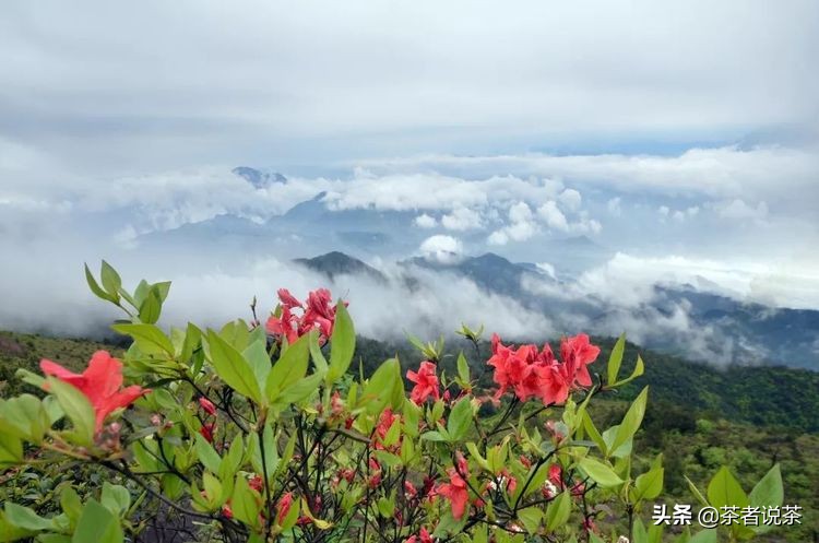 浅议品质管理,浅议宋朝文化
