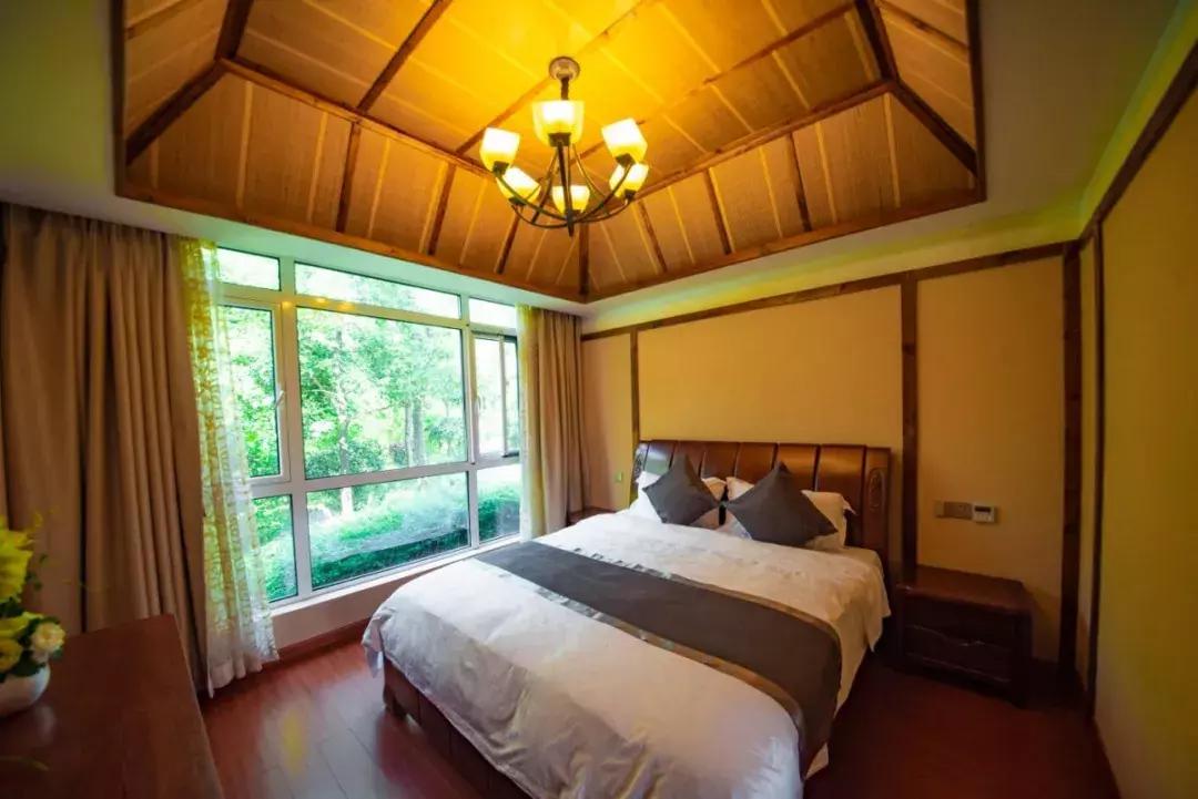 长沙松鼠园游玩攻略,端午长沙再成旅游热门目的地