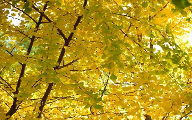 心理测试测什么会有财运,测试你的性格最像什么颜色