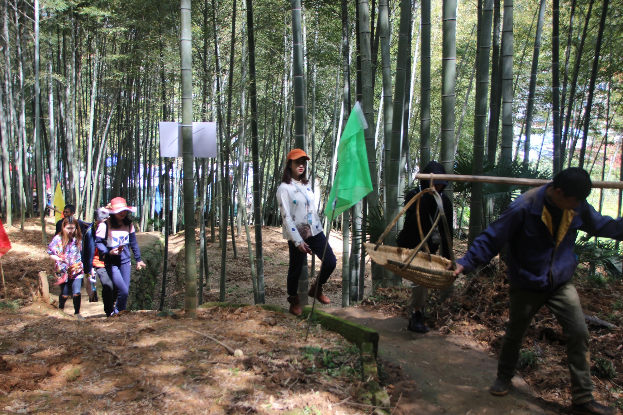 临海黄土山竹笋,浙江竹笋哪里最好