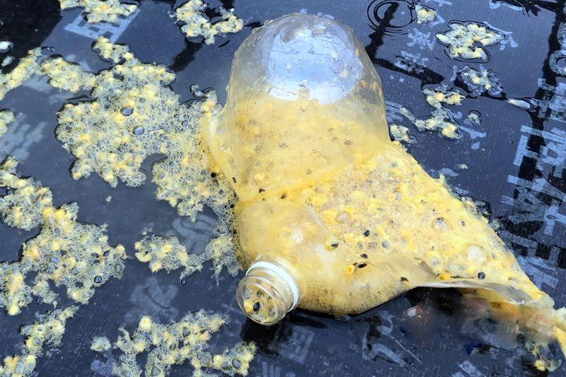 百香果的威力有多强,百香果果酱爆炸威力