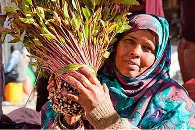 一个被人遗忘的国家,一个被人们遗忘的战争