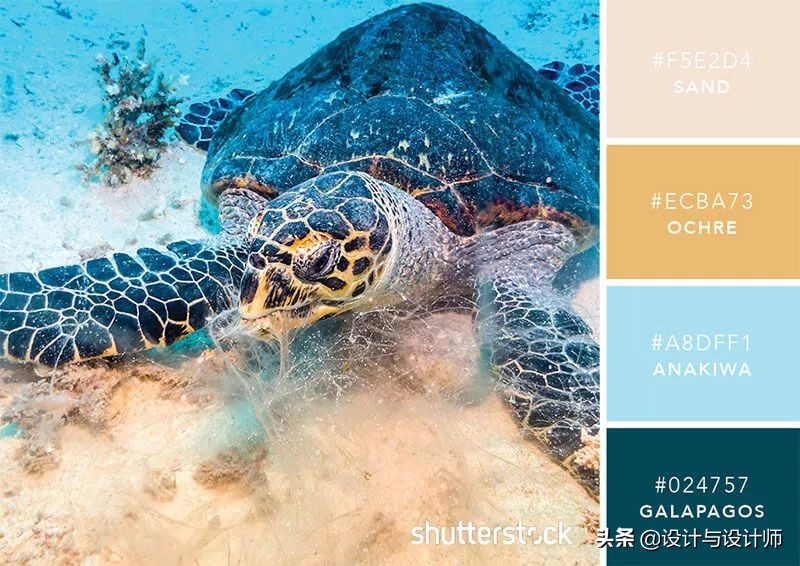 设计色彩总结200字左右,设计配色6种颜色