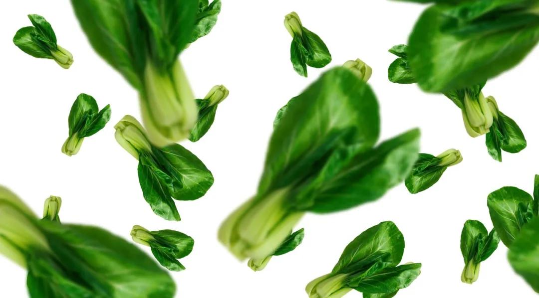 ppt动态环状图制作,ppt多图动态效果制作