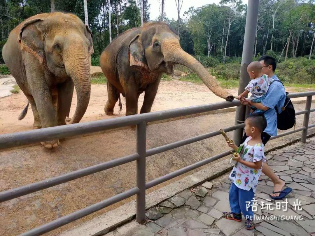 适合带娃旅游的海边酒店,哪个海岛酒店适合带娃