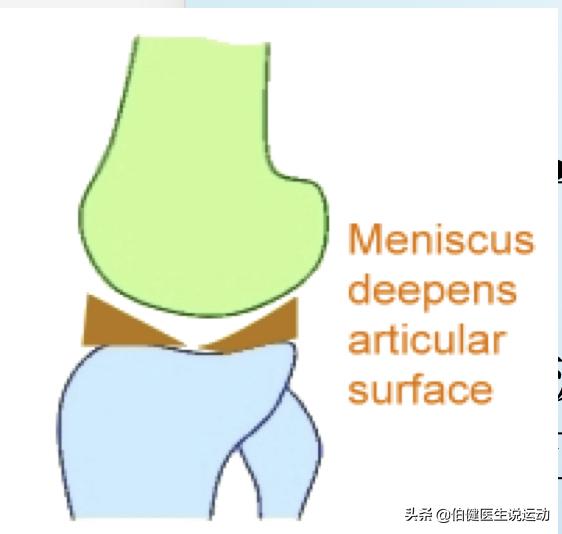 膝内侧半月板1-2级损伤,半月板的作用及损伤后怎么修复