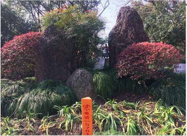 松江河镇夜晚风景,上海松江小镇风景图片