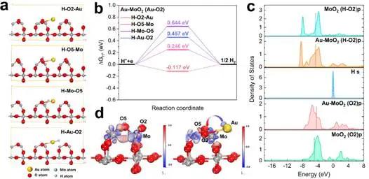 通过Au-MoO2异质结构的Au-O键强耦合实现增强析氢反应