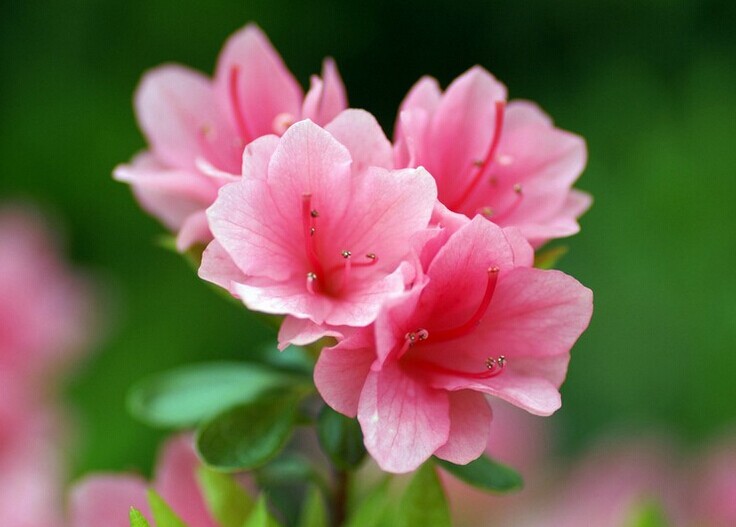 初中文言文一词多义180字,初中文言文一词多义的词