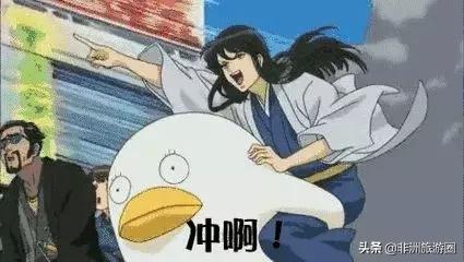 马爸爸+团购+互联网社交媒体，能否打造出非洲版“美团”？