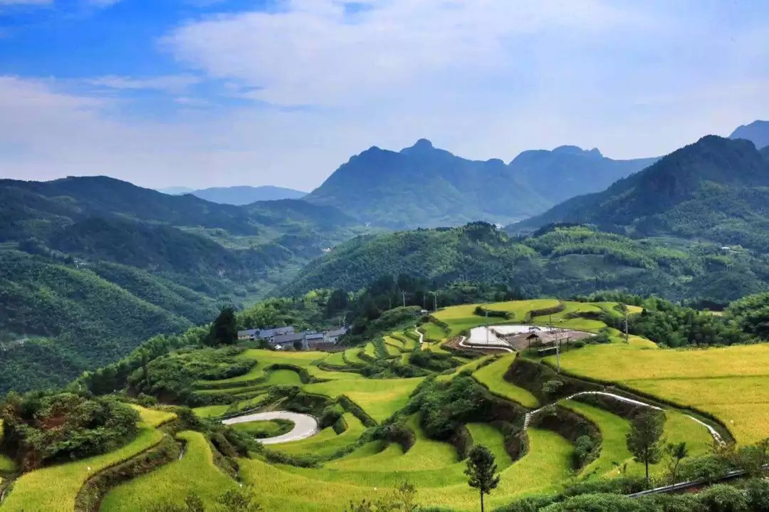 鐖卞績鍔╁鍦嗘ⅵ琛屽姩,鍏泭鐖卞績鍔╁娲诲姩