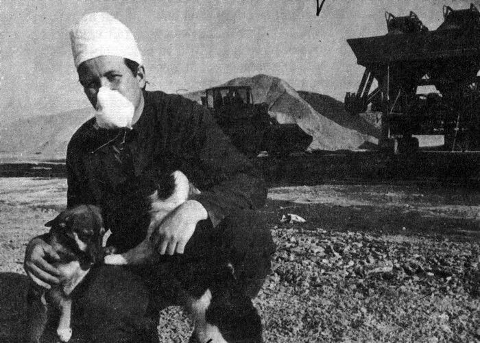 豆瓣9.1分打败抗日神剧,豆瓣9.8分以上的电影悲剧