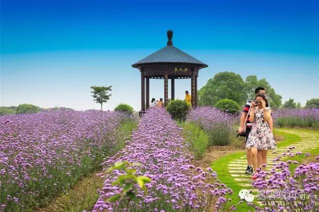 印象常熟：我的故乡，我的骄傲！一个摄影人眼中的美丽家园