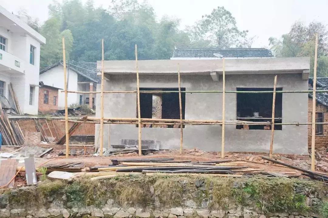 干部群众春节期间返乡见闻,干部春节返乡见闻稿件