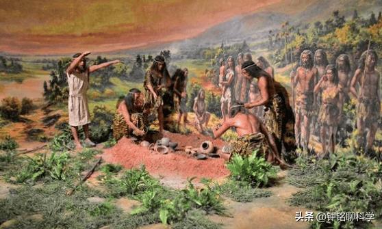 人类虱子的进化史,虱子与人类进化