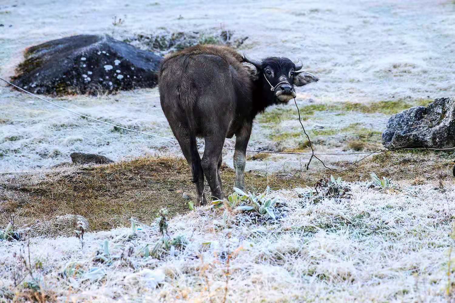 云南瑞丽腾冲离缅甸有多远,瑞丽与腾冲地理位置