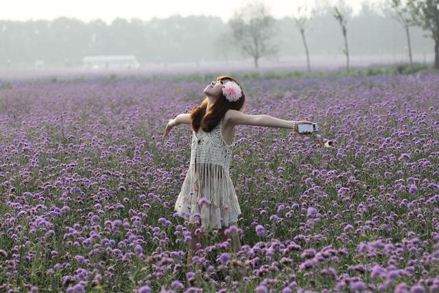 适合卧室养的10种花,养金枝玉叶放卧室可以改善睡眠吗