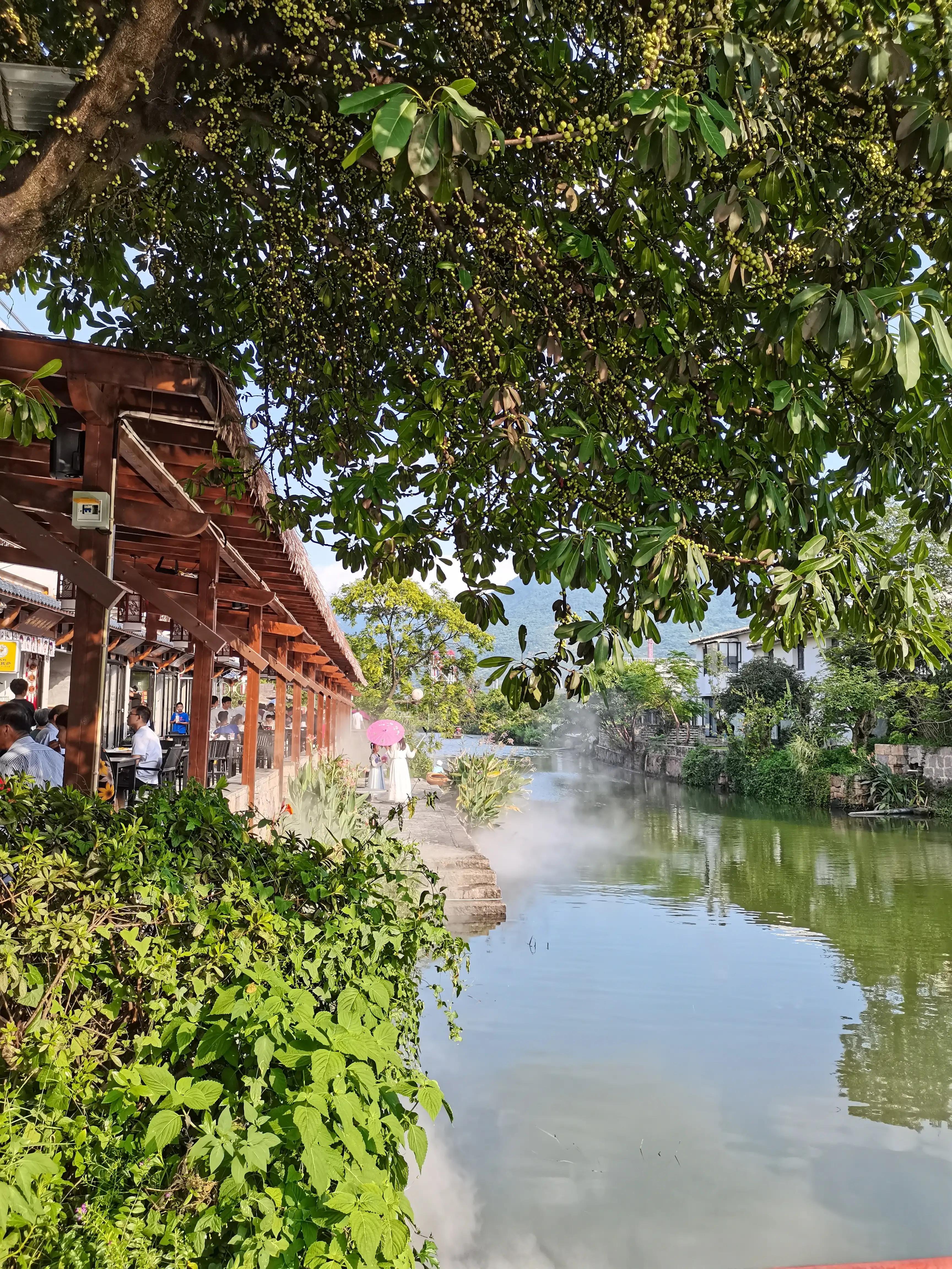 温州茶山风景区游玩攻略图,温州瓯海山根小村景区